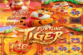 x baji casino