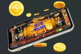 x baji casino