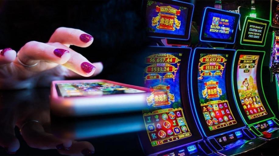 x baji casino